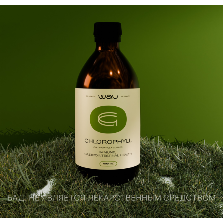 CHLOROPHYLL