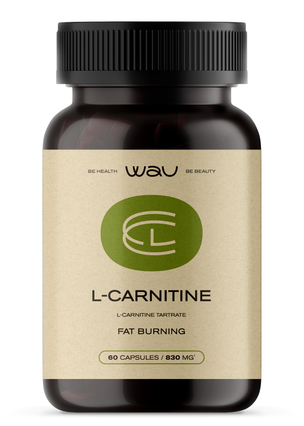 L-CARNITINE