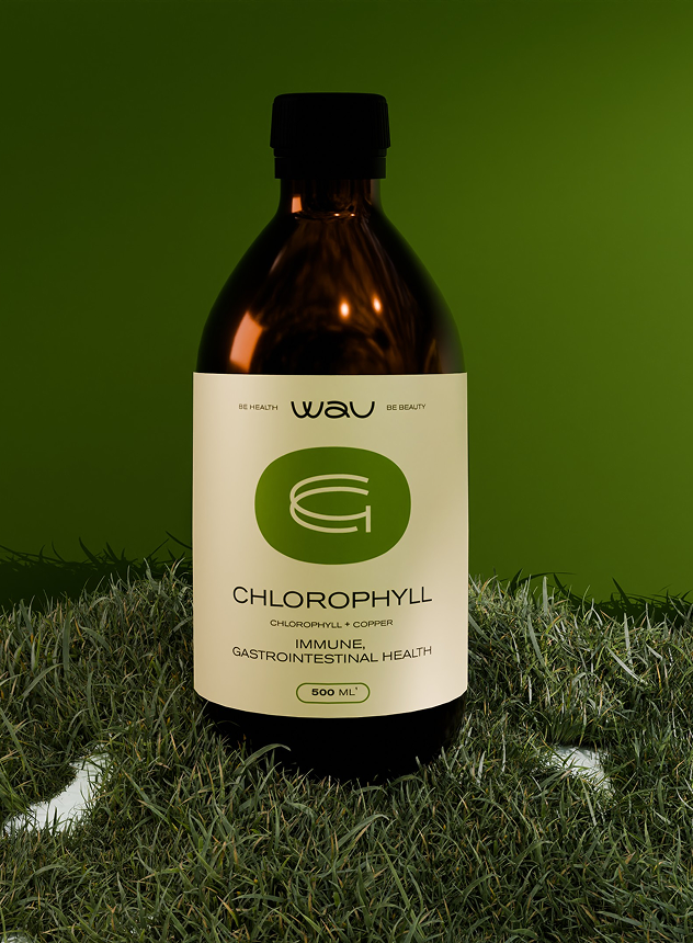 CHLOROPHYLL