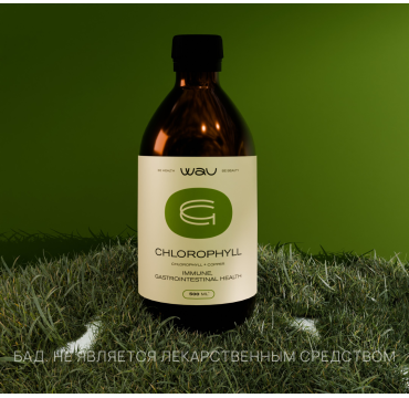 CHLOROPHYLL — поддержка иммунитета и ЖКТ
