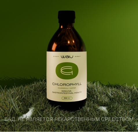 CHLOROPHYLL