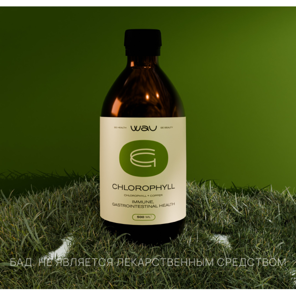 

CHLOROPHYLL — поддержка иммунитета и ЖКТ