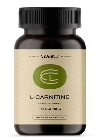 L-CARNITINE — сжигание жира