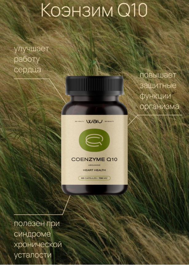 COENZYME Q10 100