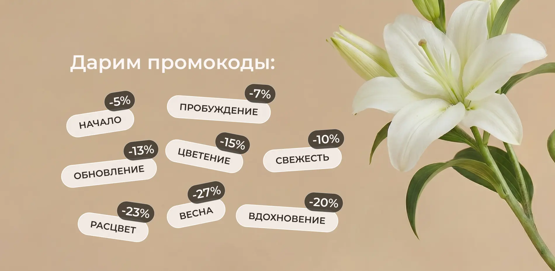 Баннеры промокоды